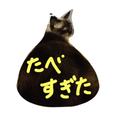 [LINEスタンプ] マイ ニャンコ