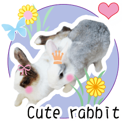 [LINEスタンプ] Two cute rabbit rounds