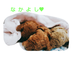 [LINEスタンプ] 使えそうな感じのパピー先輩