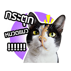 [LINEスタンプ] Pipo : I like to eat lizard.