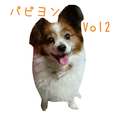 [LINEスタンプ] 愉快なパピヨン Vol2