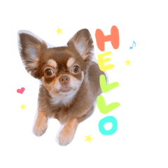 [LINEスタンプ] こころのスタンプ