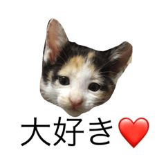 [LINEスタンプ] にゃんたち2