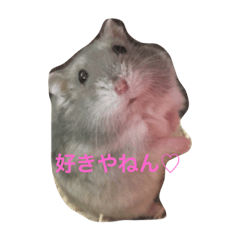 [LINEスタンプ] まったりおハム♡虎太郎