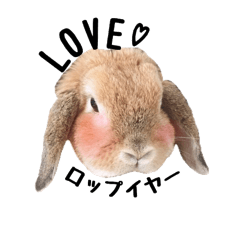 [LINEスタンプ] ロップイヤーのうめきち