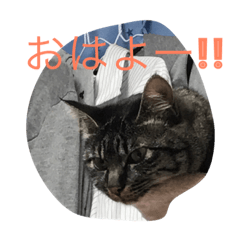 [LINEスタンプ] こまる2
