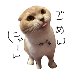 [LINEスタンプ] うり