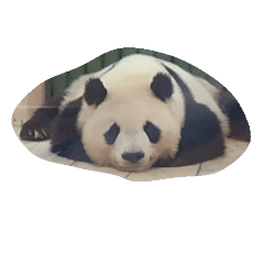 [LINEスタンプ] 動物園でのんびり