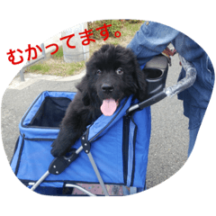 [LINEスタンプ] 子供時代のかわいい姿