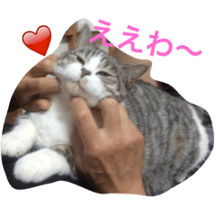 [LINEスタンプ] マコ＆ナナ