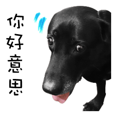 [LINEスタンプ] P. Black Labrador3