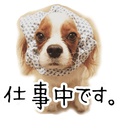 [LINEスタンプ] スプートニク！！！
