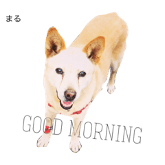 [LINEスタンプ] みんないっしょ1
