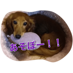 [LINEスタンプ] ぐみ♡るーくん 2