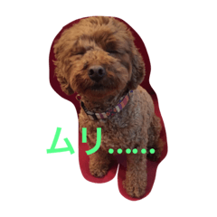[LINEスタンプ] エルモでしゅ♡時々クレちゃんも。