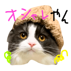 [LINEスタンプ] いなり2