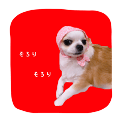[LINEスタンプ] めろさんのつぶやきPart2
