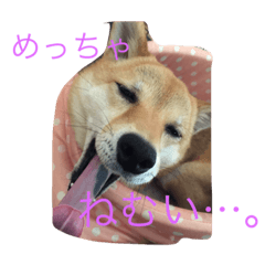 [LINEスタンプ] 柴犬姫子さん