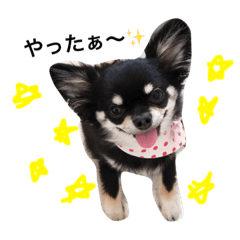 [LINEスタンプ] てんてん2016.0219