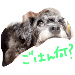 [LINEスタンプ] 犬のようなもの
