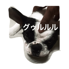 [LINEスタンプ] ゴン太さん2