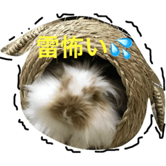 [LINEスタンプ] うさぎのふくさん。3