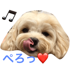 [LINEスタンプ] むぎちゃんスタンプ3