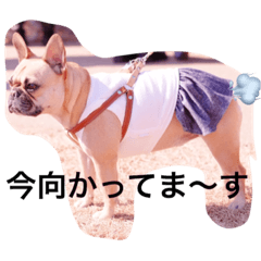 [LINEスタンプ] フレンチブルドックのせせりさん1