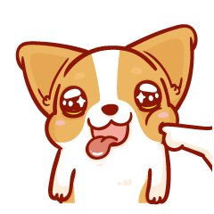 [LINEスタンプ] Corgi Dog Kaka - animated sticker vol. 2の画像（メイン）