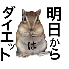 [LINEスタンプ] シマリス君