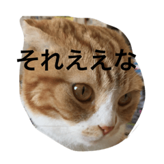[LINEスタンプ] 諭吉と源次郎 1