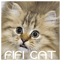 [LINEスタンプ] FiFi CAT