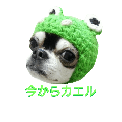 [LINEスタンプ] スムチーのハナちん