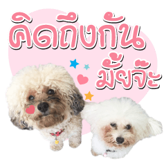 [LINEスタンプ] Pungkang and Dolla Happy Dogs
