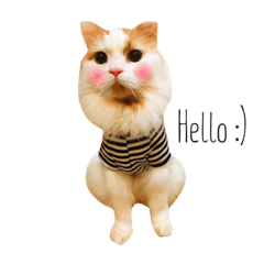 [LINEスタンプ] くうとはな