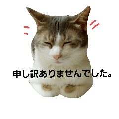 [LINEスタンプ] つぶみるつきスタンプ3