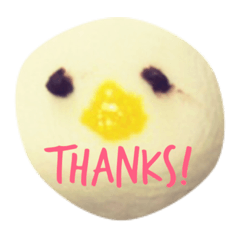[LINEスタンプ] ひよこさんの集まり