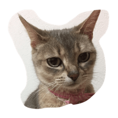 [LINEスタンプ] ほのぼのりん