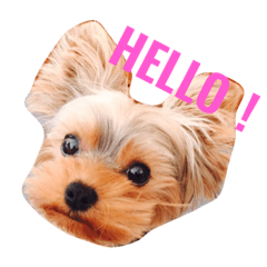 [LINEスタンプ] ティナちゃまのご挨拶