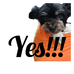 [LINEスタンプ] ドッグリフレオッジ6
