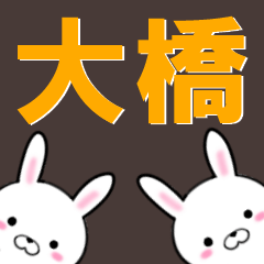 [LINEスタンプ] 超★大橋(おおはし・オオハシ)なウサギの画像（メイン）