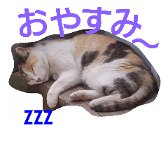 [LINEスタンプ] pull