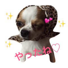 [LINEスタンプ] 日常使えるワン