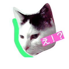[LINEスタンプ] トノとウリ