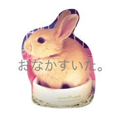 [LINEスタンプ] うさぎのつくし