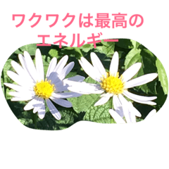 [LINEスタンプ] お花のキラキラメッセージ2