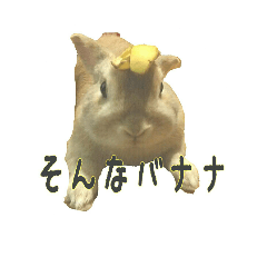 [LINEスタンプ] うちのグングン
