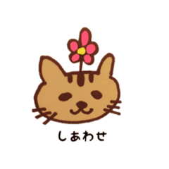 [LINEスタンプ] ねこのちゃちゃ丸