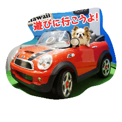 [LINEスタンプ] もなベキ姉妹。withアイルくん