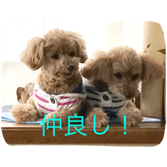 [LINEスタンプ] （U＾ω＾） わんわんお！